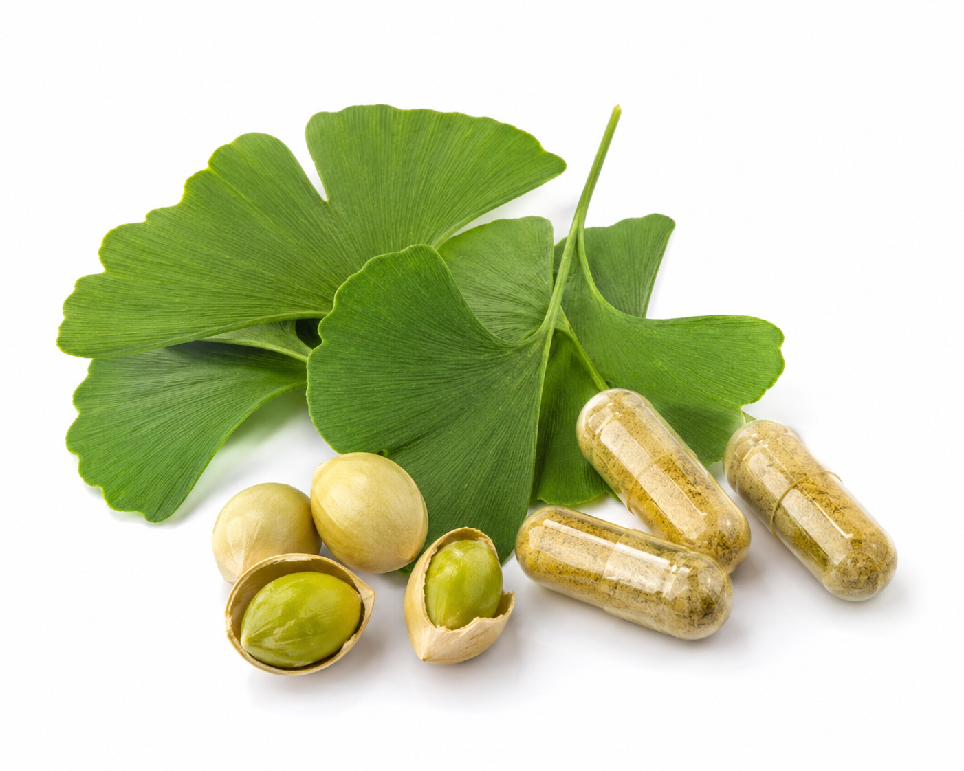 Ginkgo Biloba dalam formula Akouphon